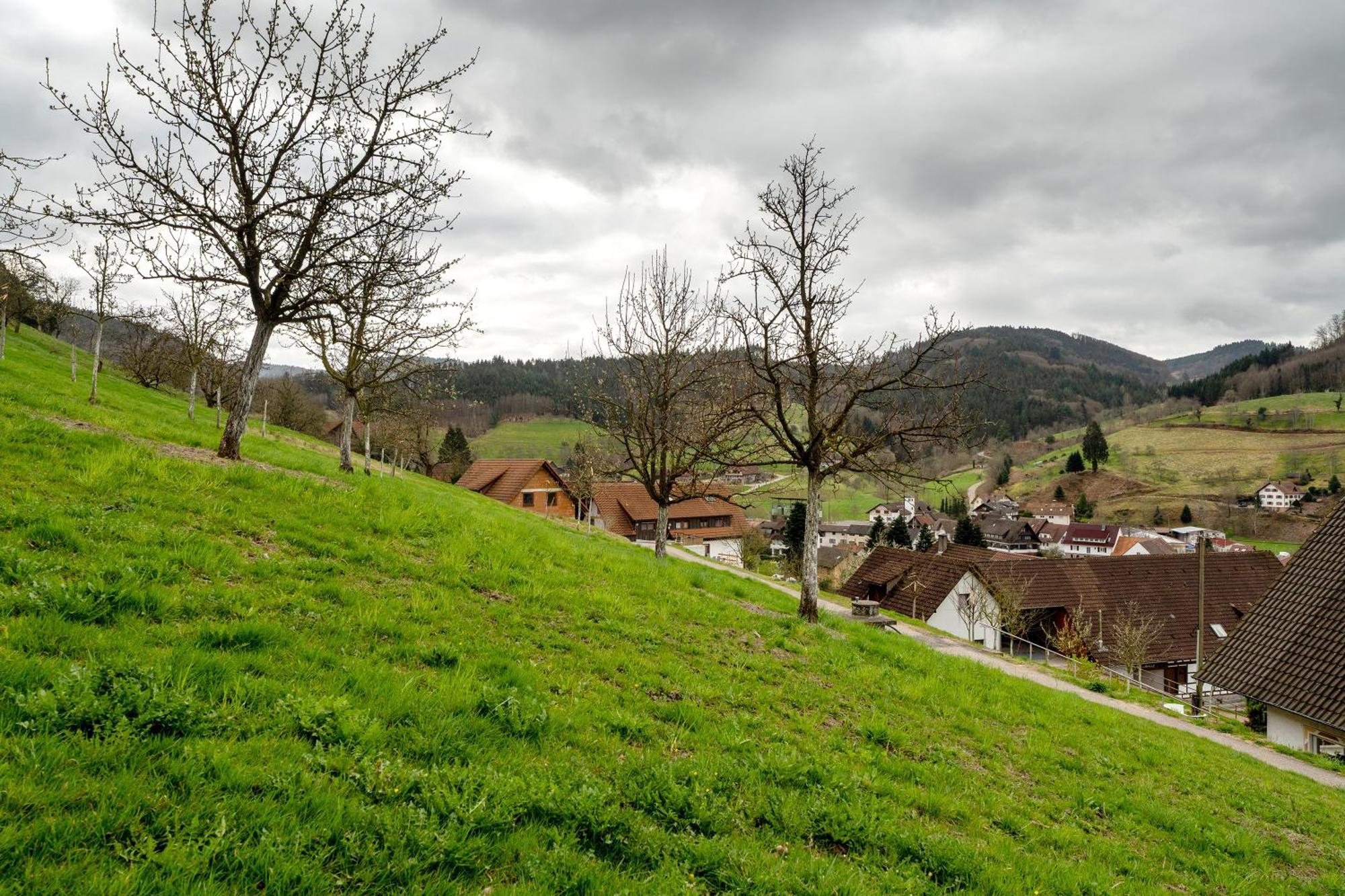 Apartamento Haus Am Schroffen Ottenhofen im Schwarzwald Exterior foto